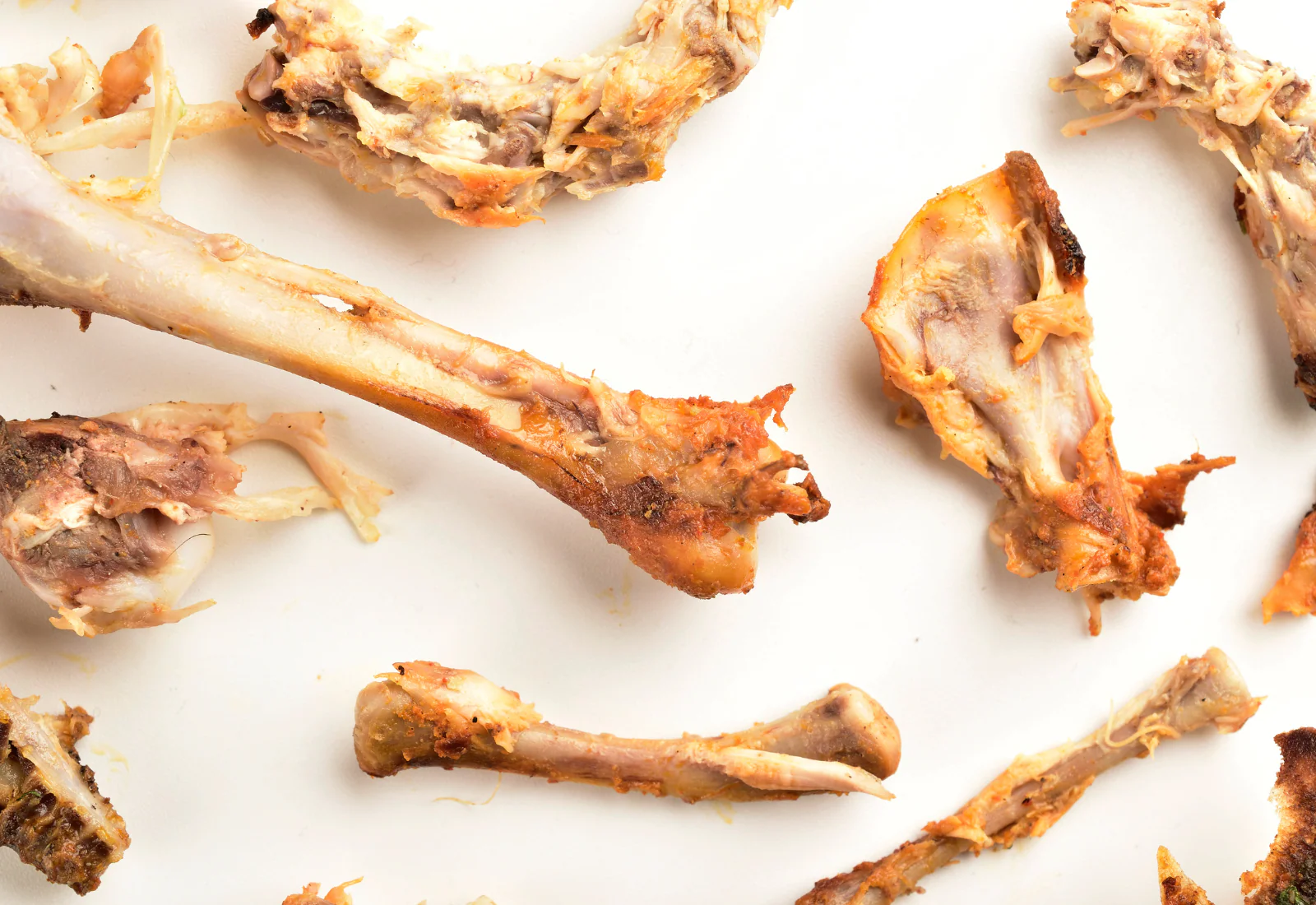 Stop Your Dog from Eating or Biting Raw Things like chicken